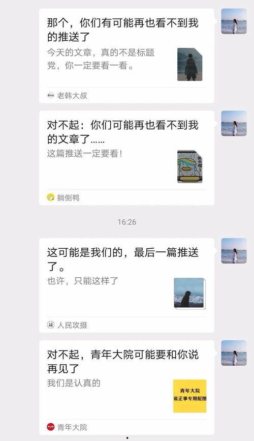 现场吃瓜事件全记录,全程回顾与深度解析