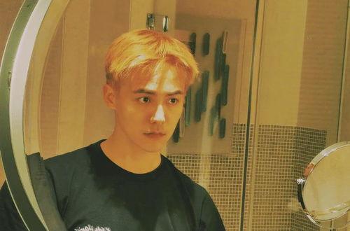 斑点狗像明星,明星气质的忠实演绎