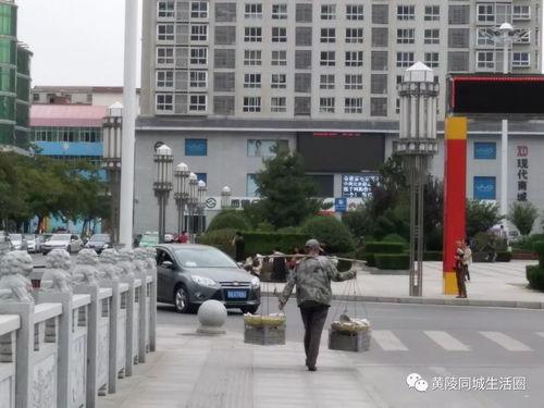 延安黄陵近期新闻头条,最新动态聚焦历史名地发展新篇章