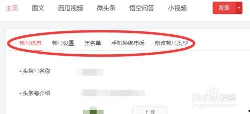 查询今日头条登录账号,轻松掌握登录技巧，畅享资讯盛宴