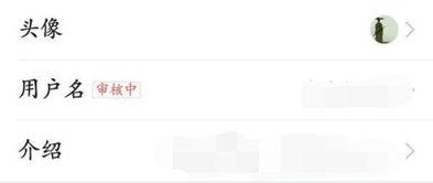 头条审核系统可以修改吗,如何修改生成概述文章副标题