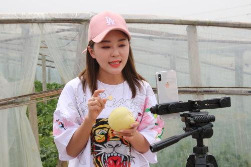 基地网红,揭秘网络红人的崛起之路