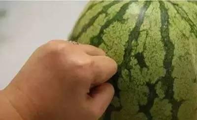 吃瓜的最佳挑瓜方法,教你轻松挑出最佳吃瓜体验