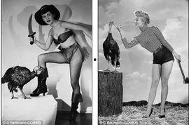 美国明星周边,美国明星周边产品大揭秘