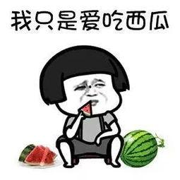 娱乐吃瓜一起看,一起揭秘明星幕后故事