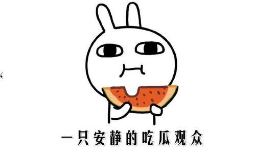 吃瓜网络词是什么意思,网络热词背后的文化现象