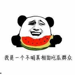 吃瓜汇总,吃瓜群众视角下的娱乐圈风云录