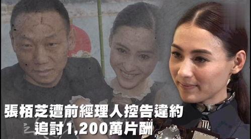 看娱乐吃瓜